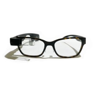 Envision Glasses: Professional Edition