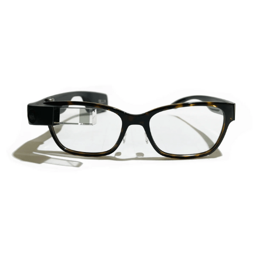 Envision Glasses: Professional Edition