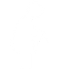 Elderly Users